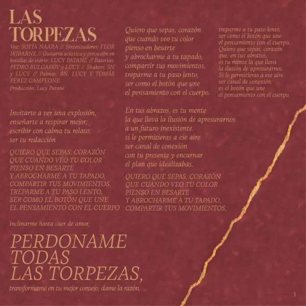 Librillo - Las Torpezas - Pag 4